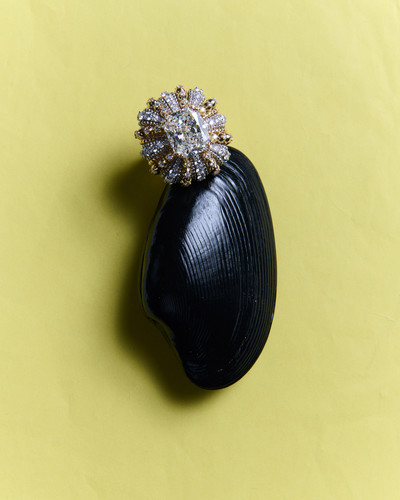 Harper&#8217;s Bazaar Italia - © Lambert | Lambert