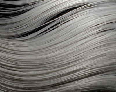 Blanc - Etude de Nuances N°2 - © Lambert | Lambert