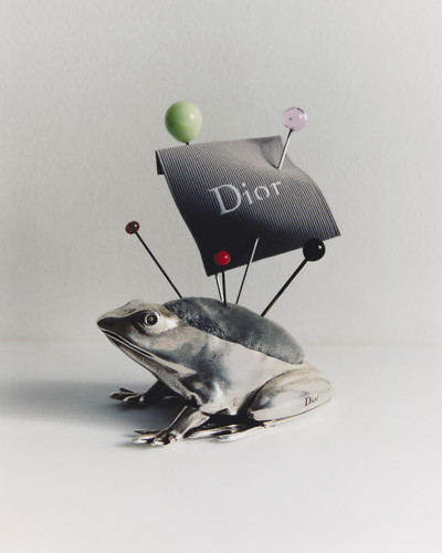 Dior - Pin Cushions - © Lambert | Lambert