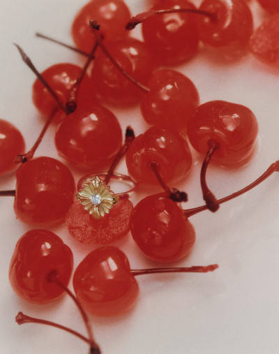 Harper’s BAZAAR France - © Lambert | Lambert