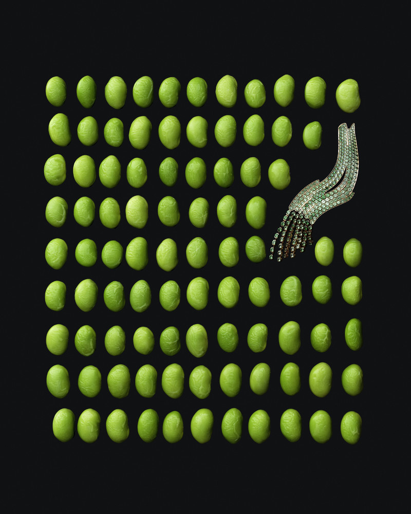 HTSI Magazine - © Lambert | Lambert