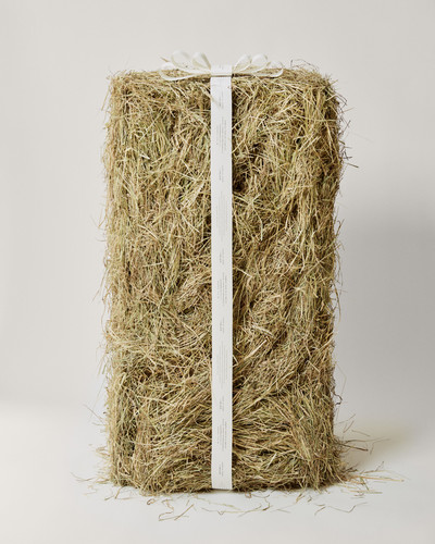 Icicle Wonders - © Lambert | Lambert