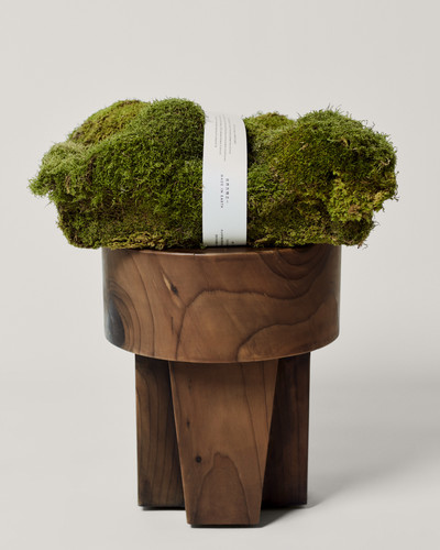 Icicle Wonders - © Lambert | Lambert