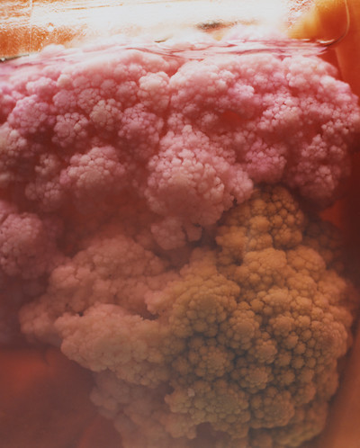 M le Monde - Gastronomie - © Lambert | Lambert