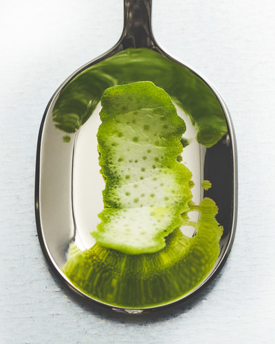 Merit - © Lambert | Lambert