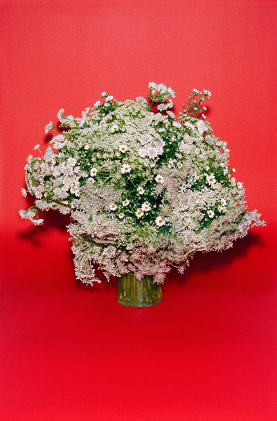 NONFICTION - © Lambert | Lambert