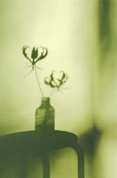 NONFICTION - © Lambert | Lambert