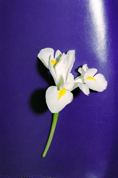 NONFICTION - © Lambert | Lambert