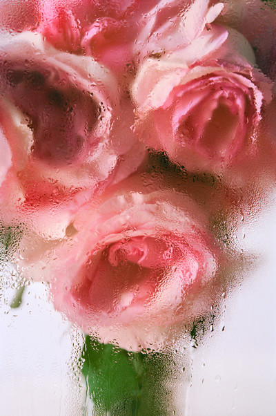 NONFICTION - © Lambert | Lambert