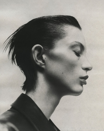 Lulu - © Lambert | Lambert