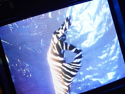 Maison Margiela - © Lambert | Lambert