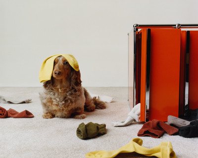 Paperboy - Canine Chaos - © Lambert | Lambert