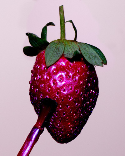 Zara - © Lambert | Lambert