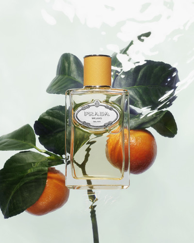 Prada Les Infusions - © Lambert | Lambert