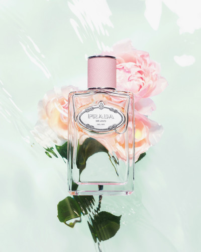 Prada Les Infusions - © Lambert | Lambert