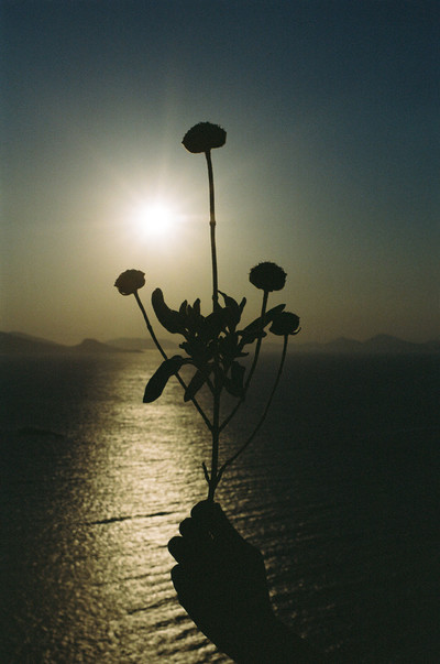 American Vintage - © Lambert | Lambert