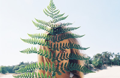 Cheadstisja - © Lambert | Lambert