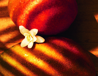 MMF - Chasing Sunset - © Lambert | Lambert