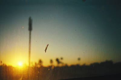 & Other Stories - © Lambert | Lambert