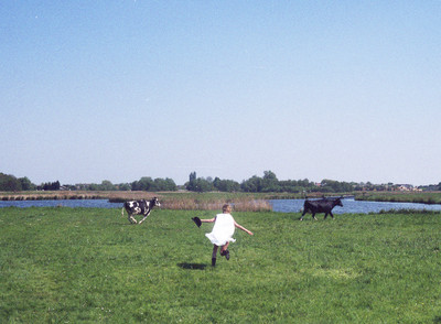 Twiske - © Lambert | Lambert