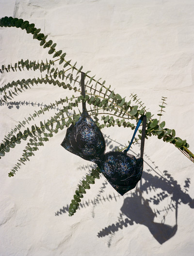 Triumph - © Lambert | Lambert