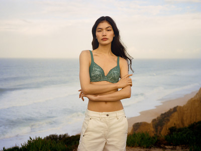 Triumph - © Lambert | Lambert