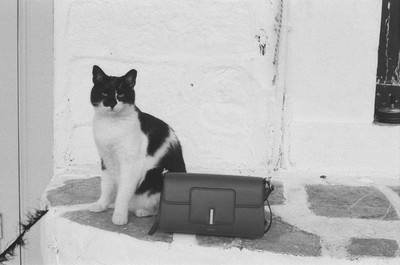 Wandler - © Lambert | Lambert