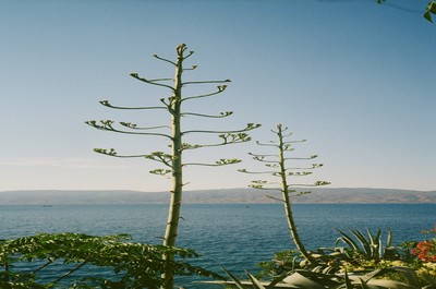 Wandler - © Lambert | Lambert