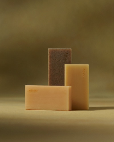 Aesop - © Lambert | Lambert