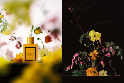 Bloom - © Lambert | Lambert