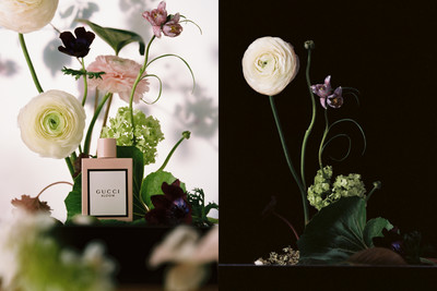 Bloom - © Lambert | Lambert