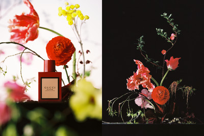 Bloom - © Lambert | Lambert