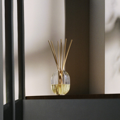 Diptyque 34 - © Lambert | Lambert