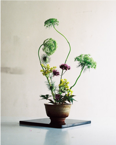 Ikebana by Hiroyuki - © Lambert | Lambert