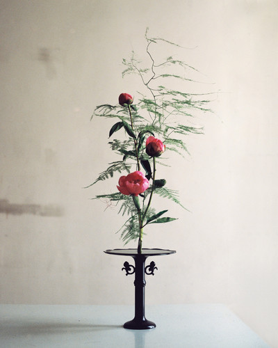Ikebana by Hiroyuki - © Lambert | Lambert