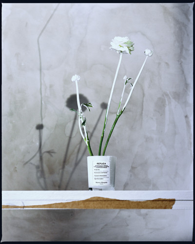 MMF Lazy Sunday Morning Jefferson Fouquet - © Lambert | Lambert