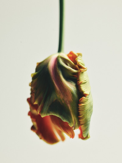 Parfums - © Lambert | Lambert