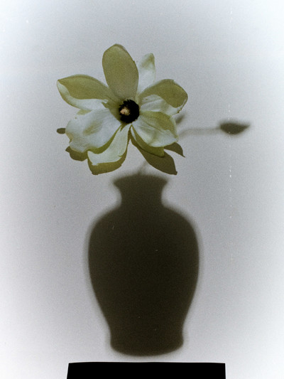 Revue Profane - © Lambert | Lambert