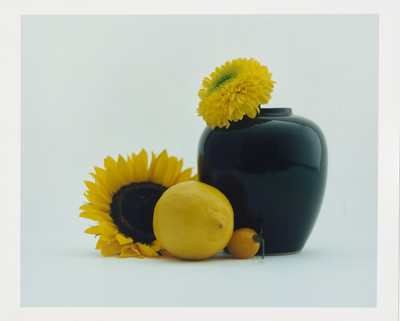 Silhouette Magazine - © Lambert | Lambert