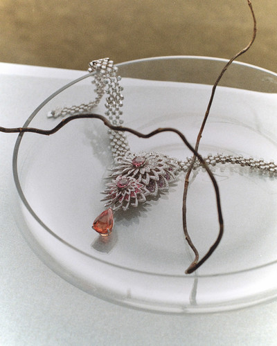 Telegraph - © Lambert | Lambert