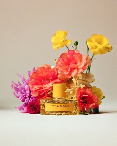 Vilhelm - © Lambert | Lambert